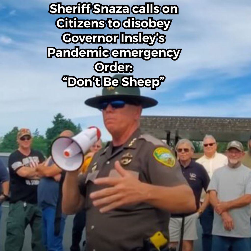 image3-2.jpeg